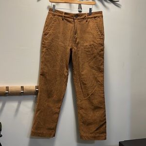 Tentree brown cord pants - wore once